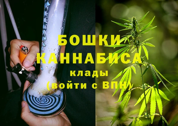 PSILOCYBIN Дмитровск