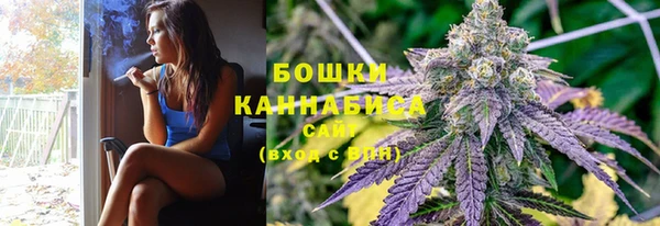 дмт Дмитриев
