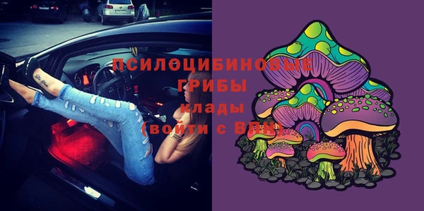 дмт Дмитриев