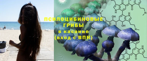 PSILOCYBIN Дмитровск