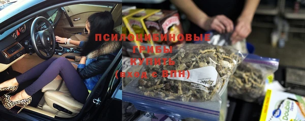 дмт Дмитриев