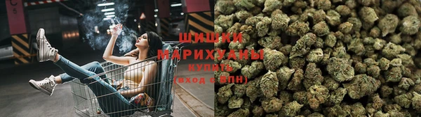 дмт Дмитриев