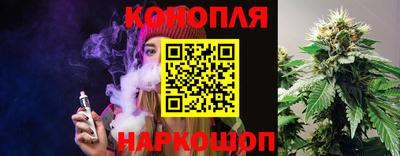 прущие грибы Краснодар