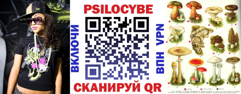 где купить наркотик  Елизово  Псилоцибиновые грибы ЛСД 